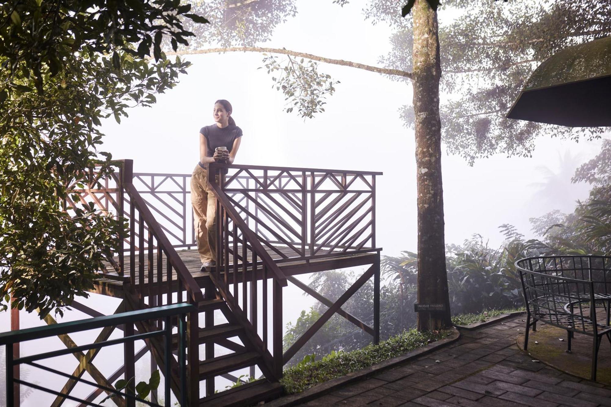 Hotel Forest Canopy Thekkady Zewnętrze zdjęcie